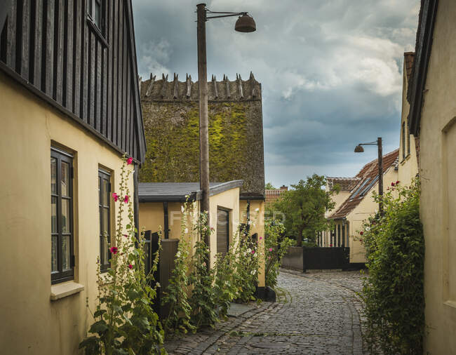 Casas antigas na rua de paralelepípedos, Dragor, Zelândia, Dinamarca — Fotografia de Stock