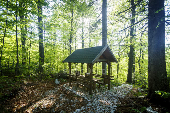 Woodlands and picnic hut — Stock Photo
