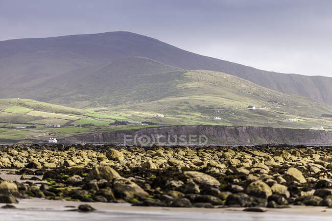 Вид на скелі на Інні - Біч, графство Керрі, Ірландія. — стокове фото