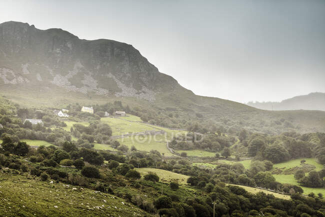 Дорога Киллорглин - Келлс, графство Керри, Ирландия — стоковое фото