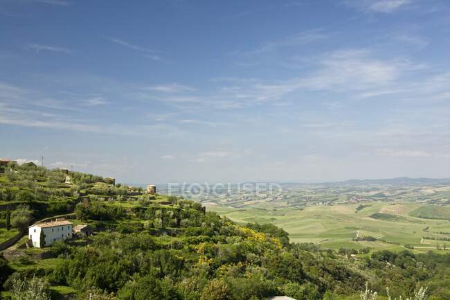 Rural scene, Tuscany, Italy — Stock Photo