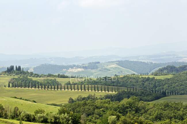 Сельская сцена, Тоскана, Италия — стоковое фото