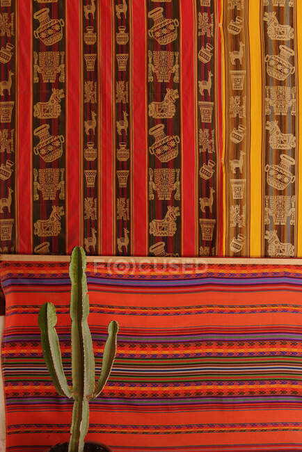 Cacti and display of peruvian textiles, Cusco, Peru, South America — Stock Photo