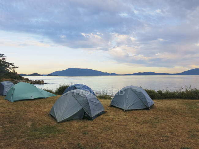 Tents on Patos Island campsite at dawn, San Juan Islands, Washington State, USA — Stock Photo