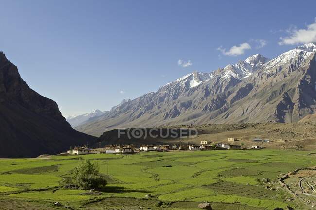 Pueblo en el valle cerca de Kibber, Himachal Pradesh, India, Asia - foto de stock