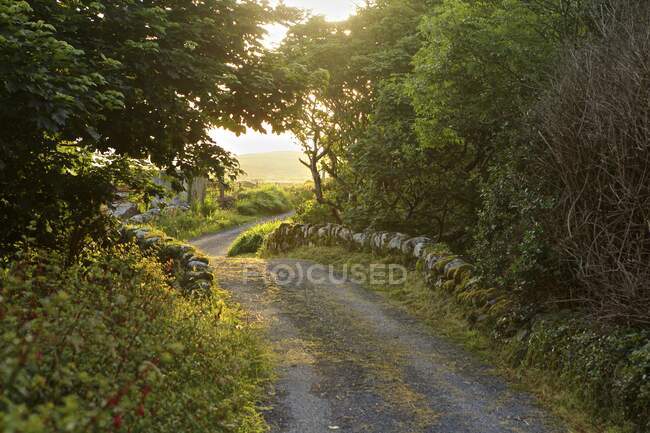 Camino rural, Clifden, Connemara, Irlanda - foto de stock