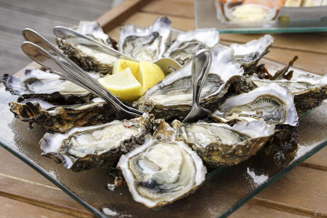 Dish of oysters and lemon — Stock Photo