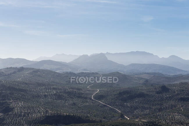 Campo, Olvera, Andaluzia, Espanha — Fotografia de Stock