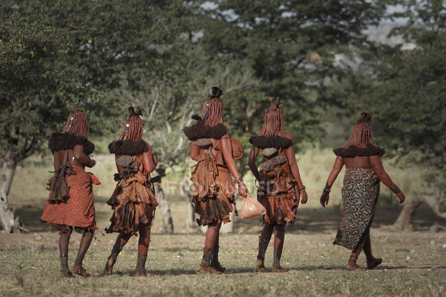 Grupo de mujeres Himba alejándose, vista trasera, Namibia, África - foto de stock