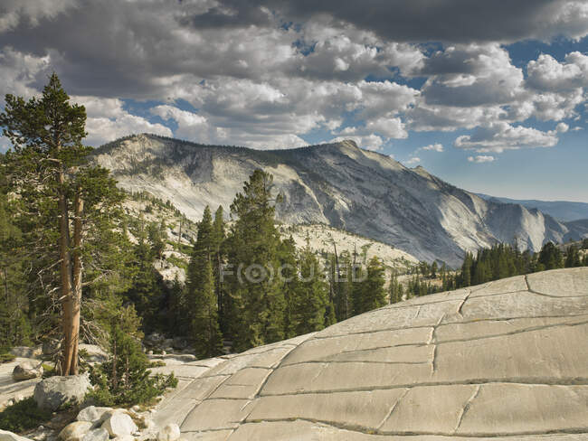 Olmsted Point, Yosemite National Park, California, USA — стокове фото
