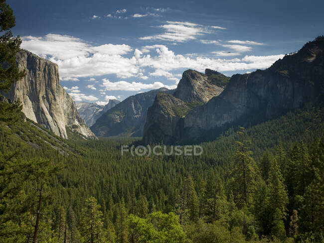 Vue sur le tunnel de la vallée de Yosemite, parc national de Yosemite, Californie, États-Unis — Photo de stock