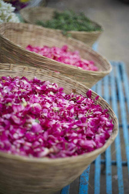 Fila di cesti di fiori sulla bancarella del mercato, Alappuzha, India — Foto stock