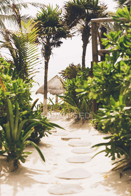 Weg zum Strand, erhöhte Aussicht, Tulum, Mexiko — Stockfoto