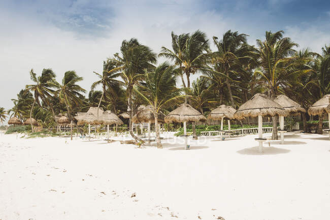 Palme e ombrelloni sulla spiaggia, Tulum, Messico — Foto stock