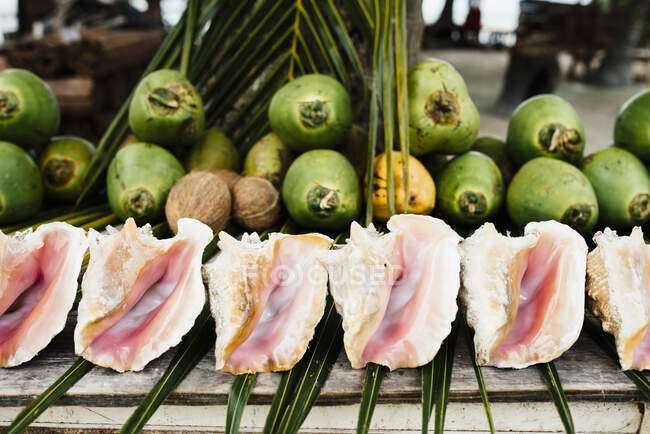 Noci di cocco e conchiglie verdi in mostra, Caye Caulker, Belize — Foto stock