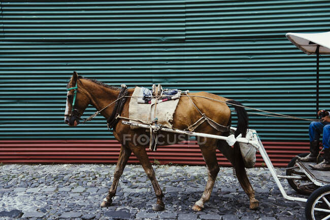Horse-drawn transport, Antigua, Guatemala — Stock Photo