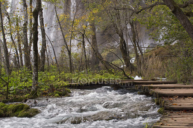 Верхний водопад, Плитвицкий национальный парк, Хорватия — стоковое фото