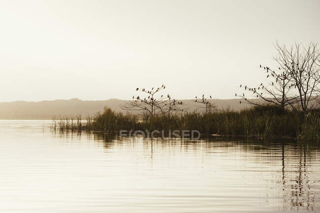 Спокійний вид на озеро при заході сонця, Флорес, Гватемала, Центральна Америка. — стокове фото