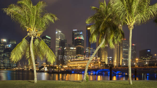 Palmeiras em frente ao distrito financeiro à noite, Singapura — Fotografia de Stock