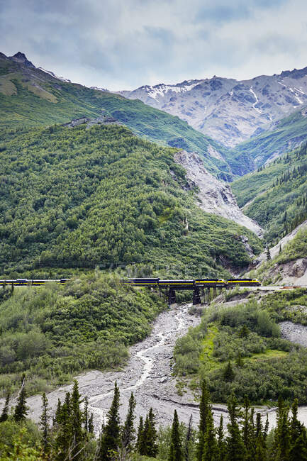 Ferrocarril, Parque Nacional Denali, Alaska, EE.UU. - foto de stock