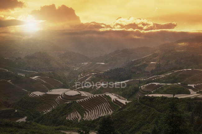 Campos adosados, Longsheng, provincia de Guangxi, China - foto de stock