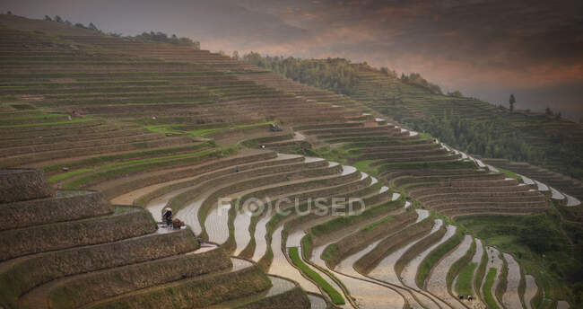 Террасове поле Лонгшен (провінція Гуансі, Китай). — стокове фото