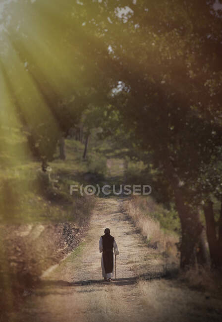 Persona caminando por el camino del campo a la luz del sol - foto de stock