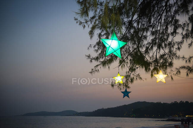 Fairy lights in tree — Stock Photo