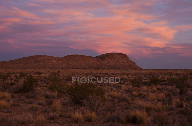 Coucher de soleil dans l'aire nationale de conservation Red Rock Canyon, Nevada, États-Unis — Photo de stock