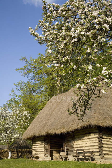 Casa de campo, Bosque de Sibiu, Sibiu, Rumania, Europa - foto de stock