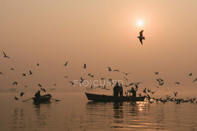 Pescadores en barcos de pesca, aves volando alrededor, Varanasi, Uttar - foto de stock