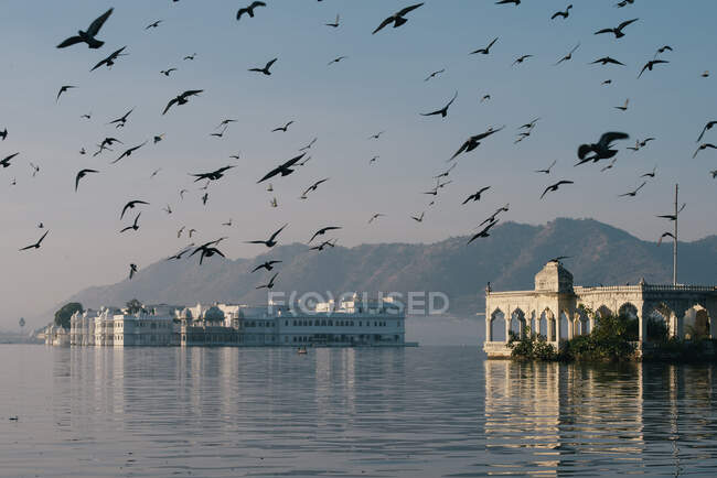 Птахи над готелем Lake Palace на озері Пікола (Удайпур). — стокове фото