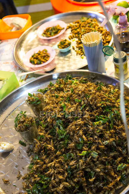 Тарелка насекомых, Таиланд — стоковое фото