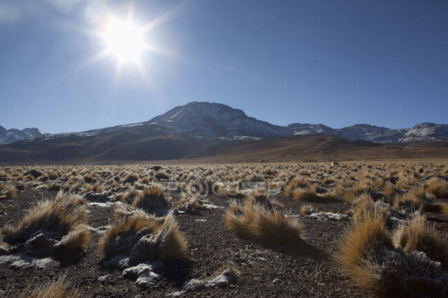 Altiplano, High Plateau, San Pedro de Atacama, Antofagasta, Chile — Stock Photo