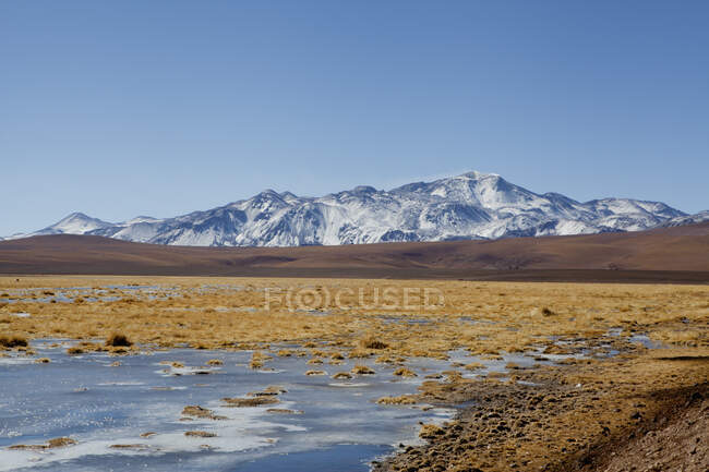 Altiplano, High Plateau, San Pedro de Atacama, Antofagasta, Chile — Stock Photo