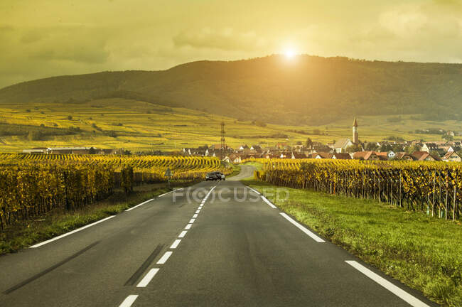 Landstraße zwischen Weinbergen auf der Route des vins d 'Alsace, Frankreich — Stockfoto
