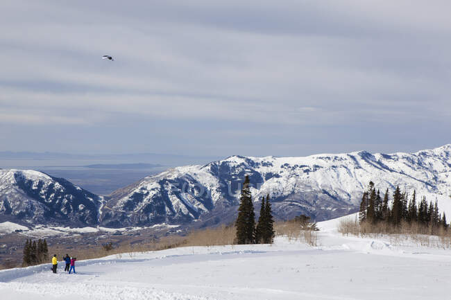 Три человека запускают воздушного змея в зимнем пейзаже, Иден, Юта, США — стоковое фото