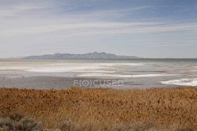 Great Salt Lake, Utah, EUA — Fotografia de Stock