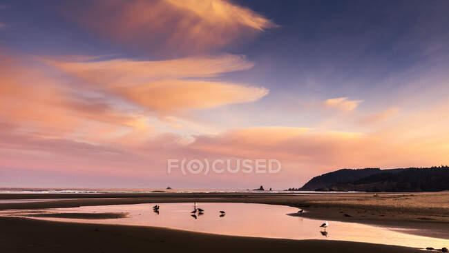 Vista silueta de la playa y la puesta de sol rosa, Cannon Beach, Oregon, - foto de stock