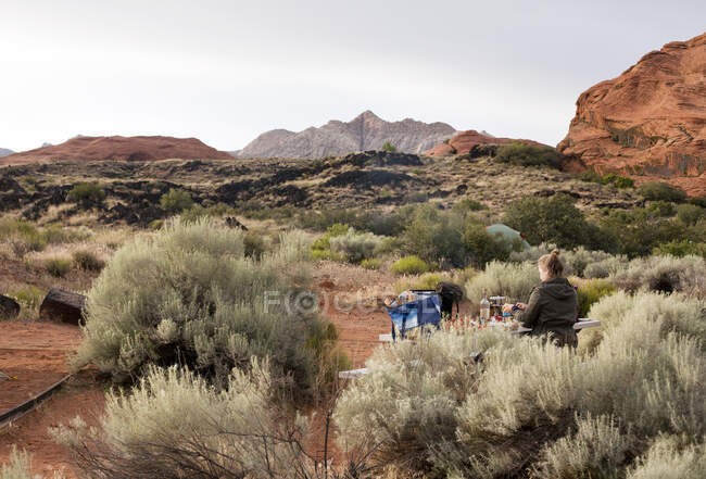Мандрівник готує вечерю на лавці для пікніка в кемпінгу в Сніговому каньйоні. — стокове фото