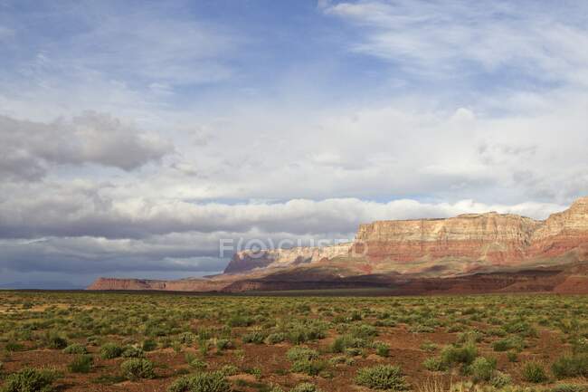 Arid landscape of the Grand Canyon, Arizona, USA — Stock Photo