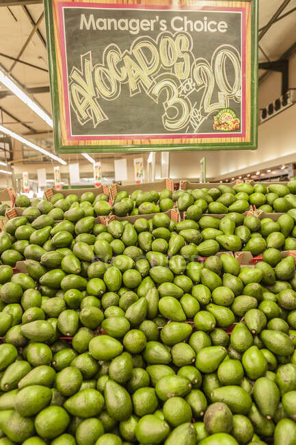 Stapelweise Avocados im Frischegeschäft, Windhoek, Namibia — Stockfoto