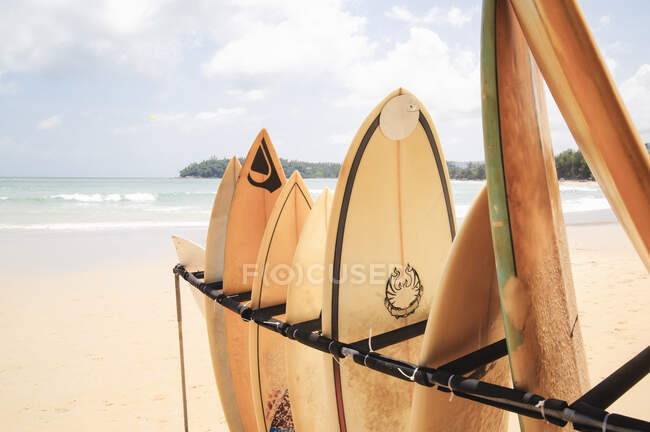 Fila de tablas de surf en rack en la playa, Phuket, Tailandia - foto de stock