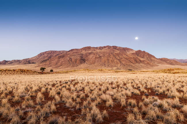 Paesaggio nella Riserva Naturale della Namibia, Namibia — Foto stock