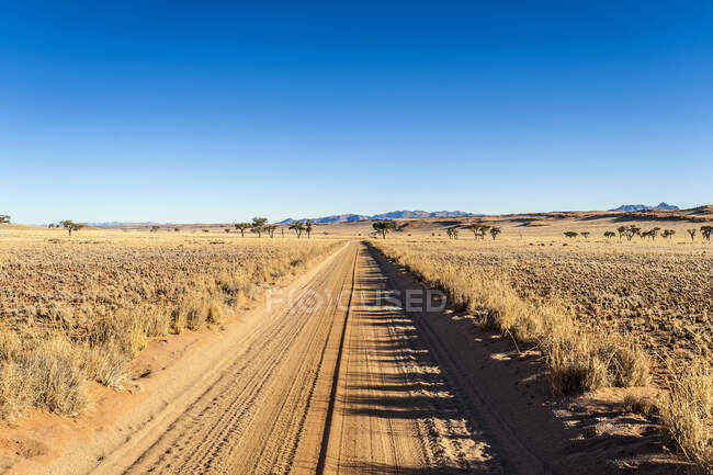 Estrada de terra em paisagem plana na Reserva Natural de Namibrand — Fotografia de Stock