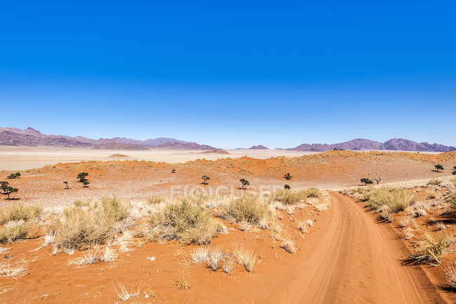 Chemin de terre dans la réserve naturelle de Namibrand, Namibie — Photo de stock