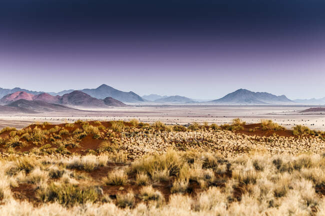 Paesaggio all'alba nella Riserva Naturale della Namibia, Namibia — Foto stock