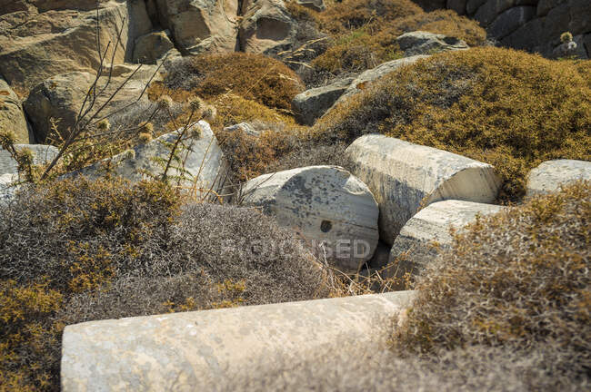 Colonne rotte cadute nel sito archeologico, isola di Delos, Grecia — Foto stock