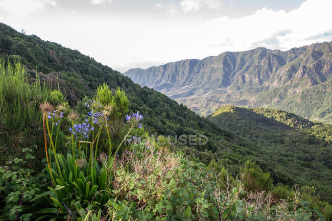 Inland valley, Madeira, Portugal — Stock Photo