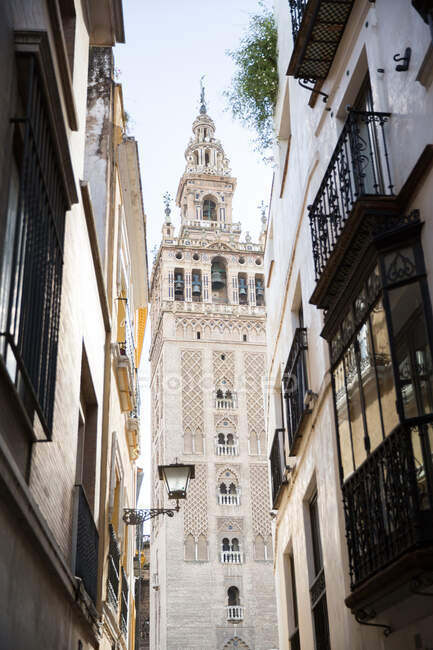 Vista ad angolo basso lungo la stretta strada della Cattedrale di Siviglia, Siviglia — Foto stock